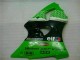 ABS Carenado ZX6R 2000-2002 - Verde Negro ABS Carenado ZX6R 2000-2002 - Verde Negro